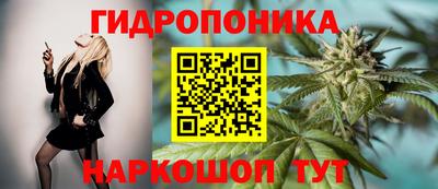 каннабис Гай