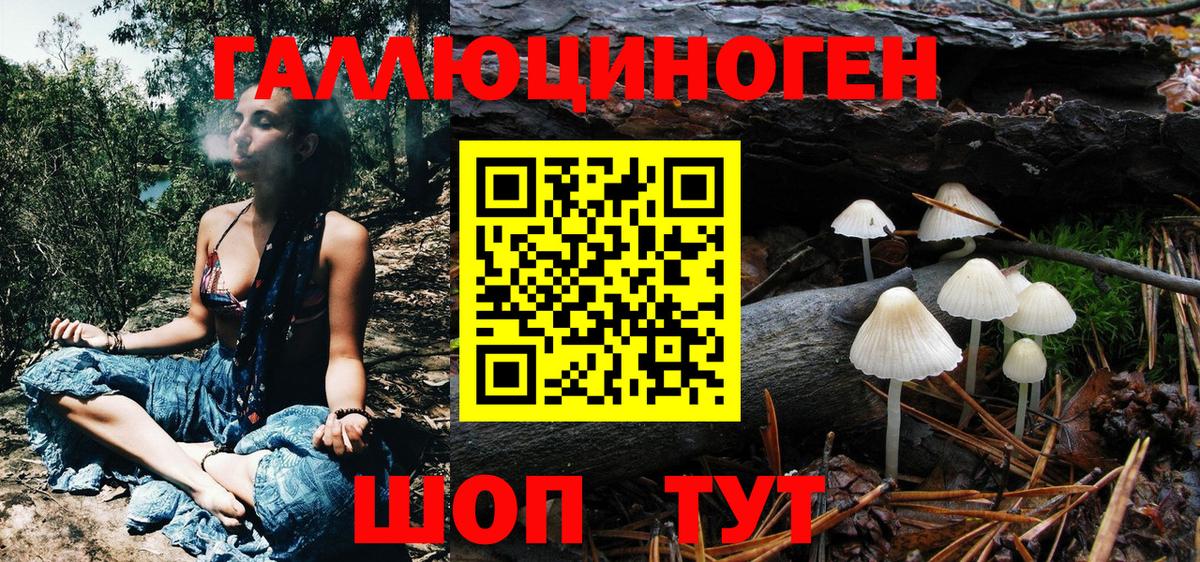 Псилоцибиновые грибы Psilocybe Рыбинск