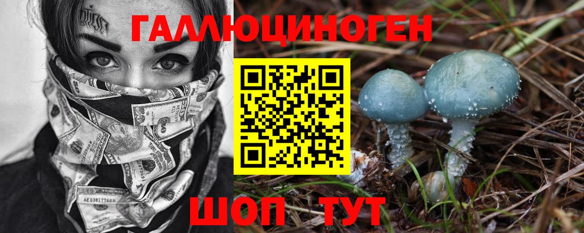 Рыбинск  Псилоцибиновые грибы Psilocybine cubensis  Вход с VPN 